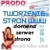 Wykonanie strony internetowej www cena 298 zł. (brutto) !