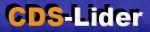 Logo firmy CDS-Lider