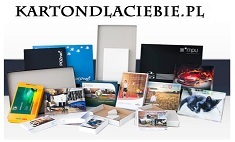 Logo firmy Producent kartonów KartonDlaCiebie.pl