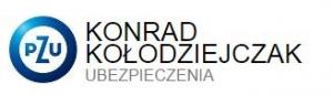 Logo firmy Agent PZU