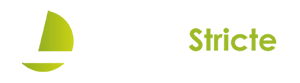 Logo firmy Lingua Stricte