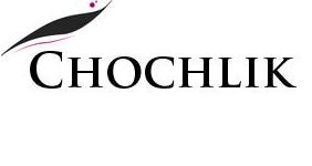 Logo firmy Kanalserwis24 Chochlik -Pogotowie Kanalizacyjne