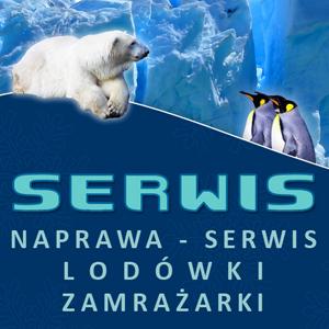 Logo firmy Naprawa lodówek i zamrażarek