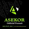 Logo firmy ASEKOR Artur Maciejewski