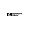 Logo firmy Agencja detektywistyczna EBO