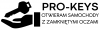 Logo firmy Pro-Keys Awaryjne otwieranie samochodu Poznań